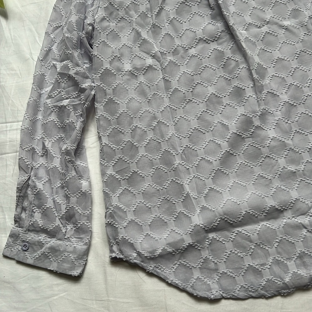Sheer Long Sleeve Button Down Blouse - Picture 10 of 11